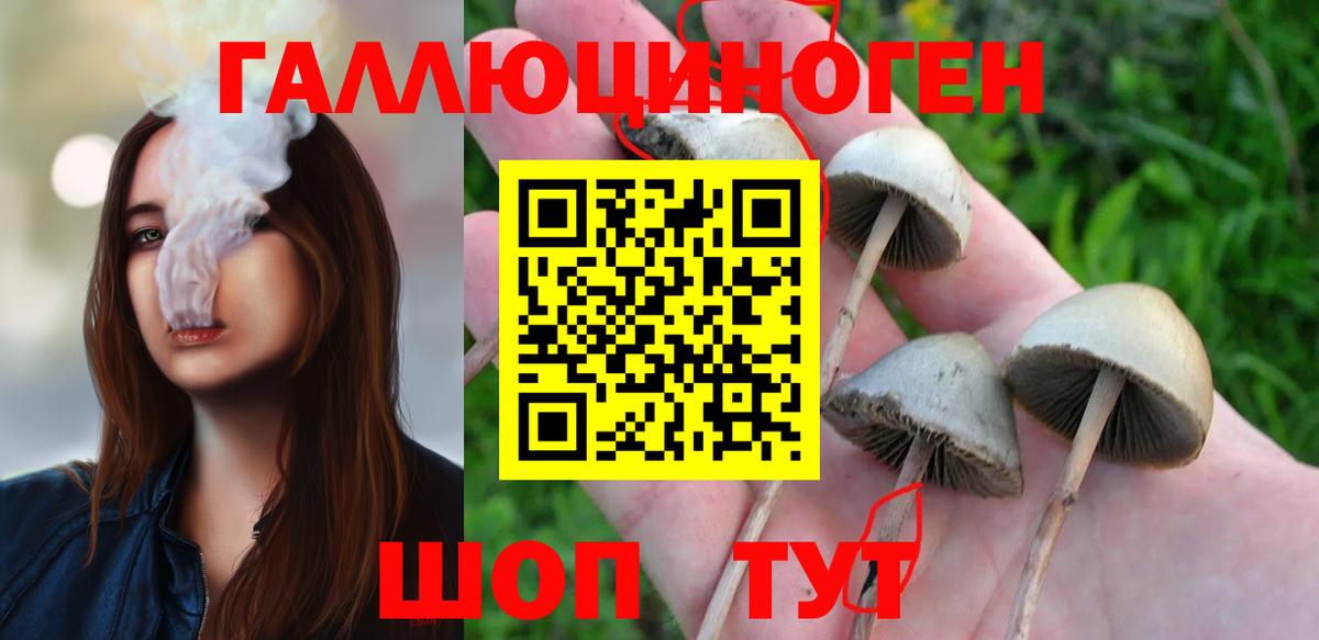 Галлюциногенные грибы мухоморы  купить  сайты  Междуреченск  Вход с VPN  Псилоцибиновые грибы Psilocybine cubensis 